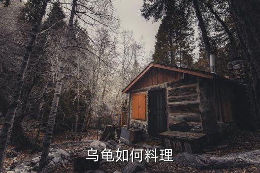 乌龟如何料理