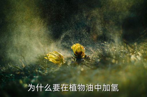 食用油加什么能变成固体