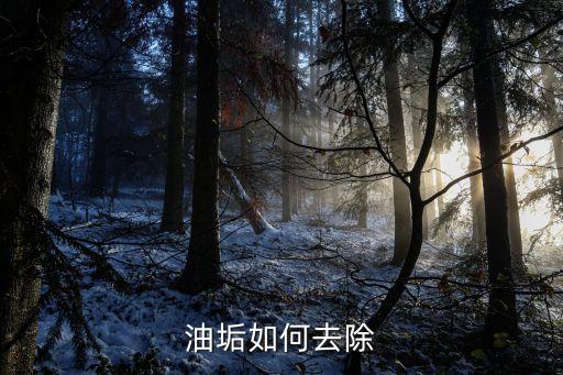 油垢如何去除