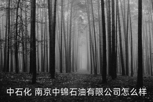 中石化 南京中锦石油有限公司怎么样