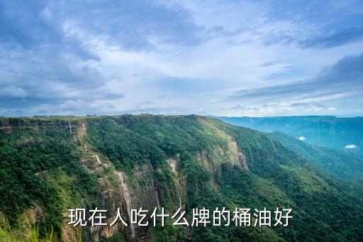 食用油桶装怎么选