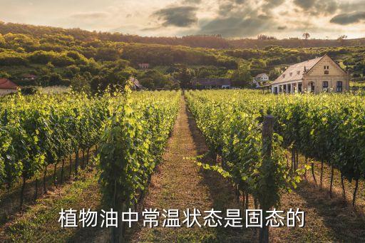什么是固体食用油,冬天食用油里面有白色固体