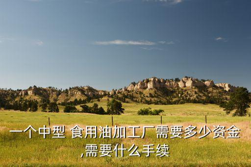一个中型 食用油加工厂需要多少资金,需要什么手续