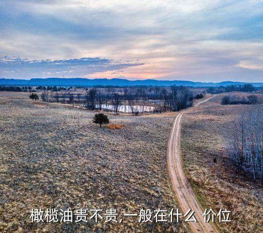 多少价位的食用油好,幼儿园用的食用油一般都是什么价位