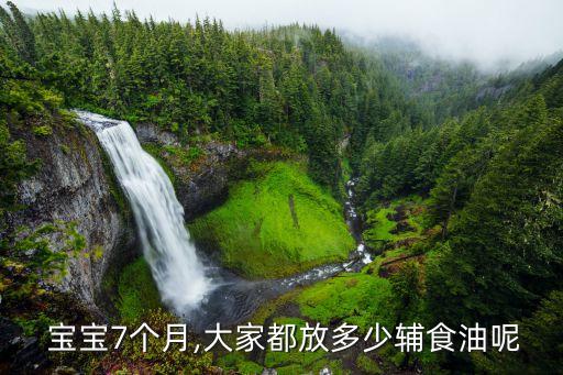  宝宝7个月,大家都放多少辅食油呢