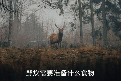 户外露营带多少食用油