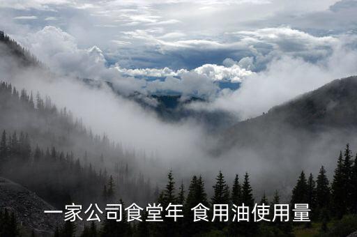 一家公司食堂年 食用油使用量