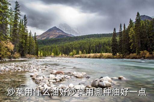炒菜用什么油好炒菜用哪种油好一点