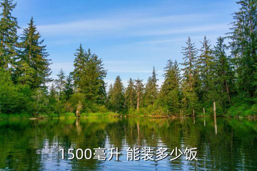 1500毫升 能装多少饭