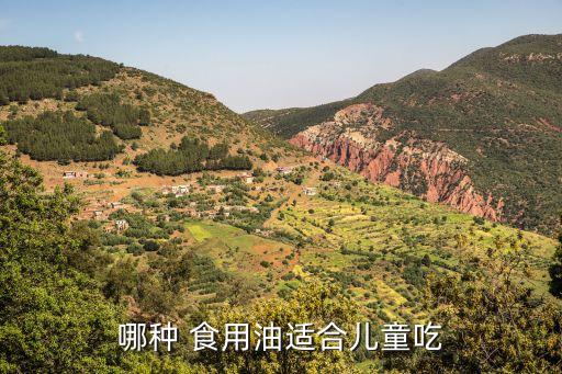 哪种 食用油适合儿童吃