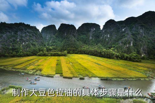 制作大豆色拉油的具体步骤是什么