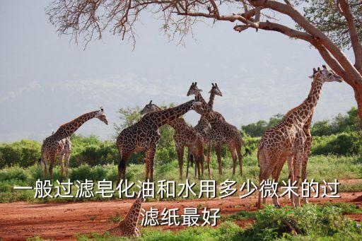 一般过滤皂化油和水用多少微米的过 滤纸最好