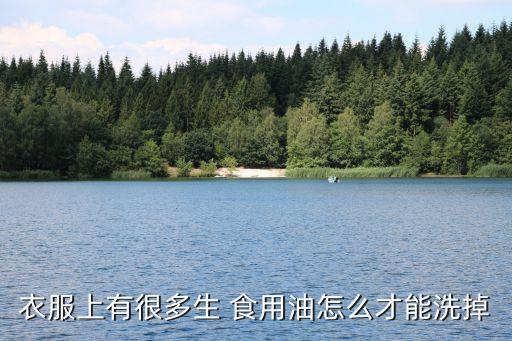 衣服上有很多生 食用油怎么才能洗掉