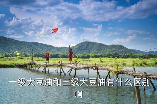  一级大豆油和三级大豆油有什么区别啊