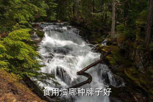  食用油哪种牌子好