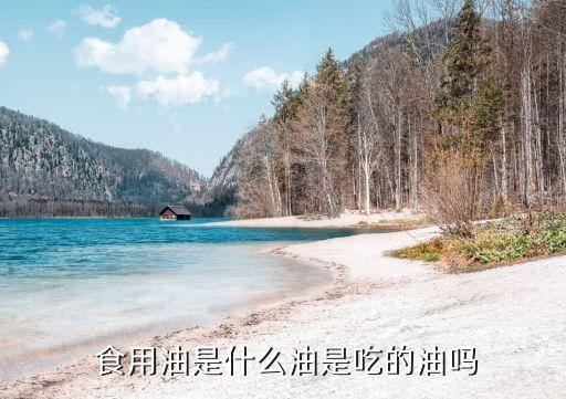  食用油是什么油是吃的油吗
