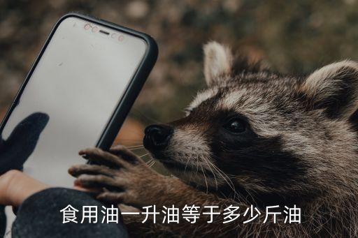 51装食用油多少斤,1.8l能装多少斤食用油