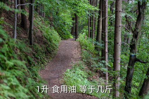 4.8升食用油等于多少斤,一吨食用油等于多少升