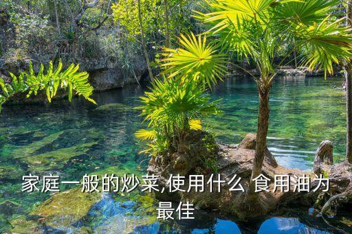 家庭一般的炒菜,使用什么 食用油为最佳