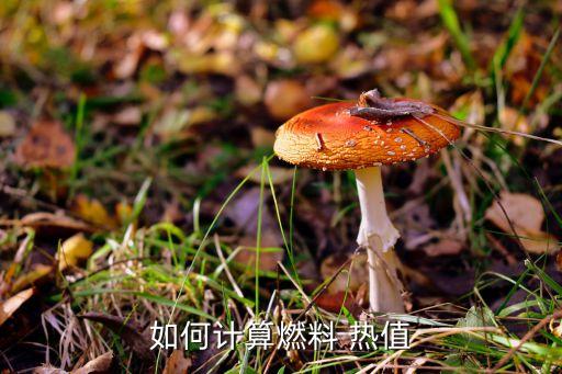 食用油怎么算热值大小