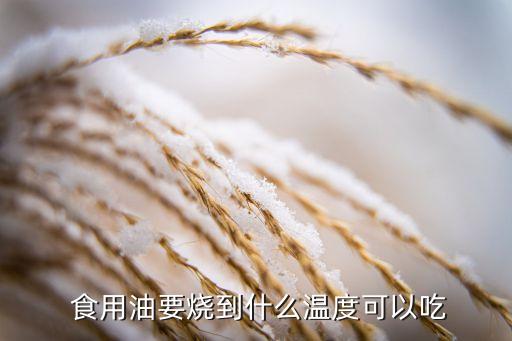  食用油要烧到什么温度可以吃