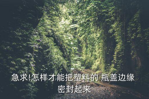 急求!怎样才能把塑料的 瓶盖边缘 密封起来