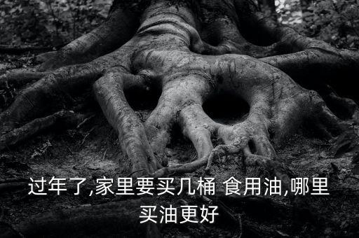 过年了,家里要买几桶 食用油,哪里买油更好