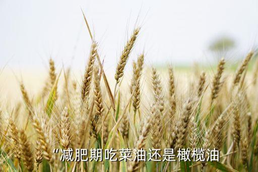 “减肥期吃菜油还是橄榄油