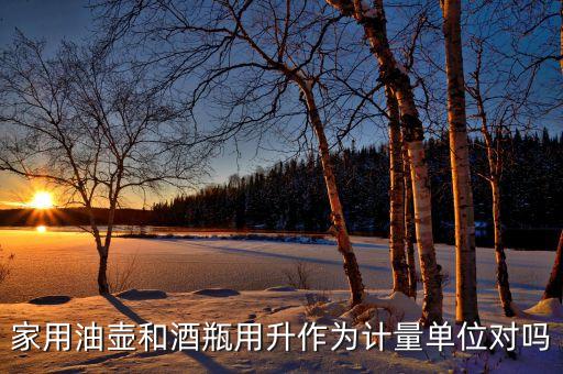 家用油壶和酒瓶用升作为计量单位对吗