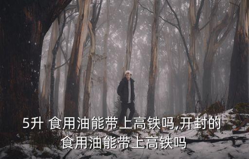 5升 食用油能带上高铁吗,开封的 食用油能带上高铁吗