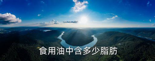  食用油中含多少脂肪