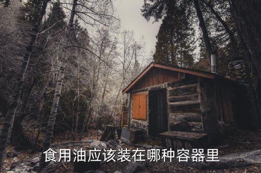  食用油应该装在哪种容器里