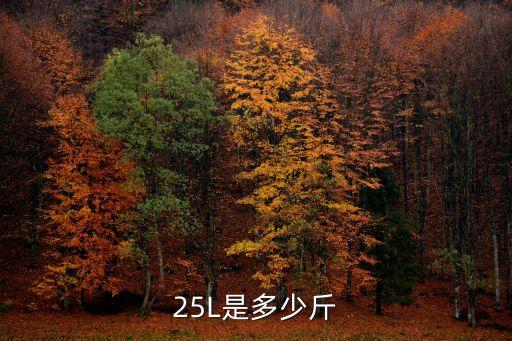 25L是多少斤