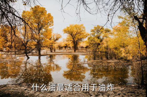 什么油最适合用于油炸