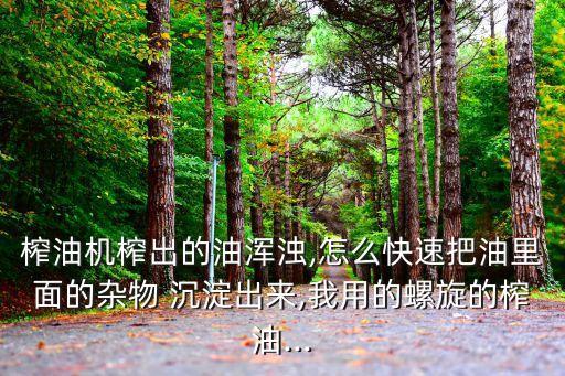榨油机榨出的油浑浊,怎么快速把油里面的杂物 沉淀出来,我用的螺旋的榨油...
