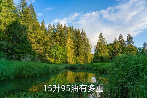 15升95油有多重