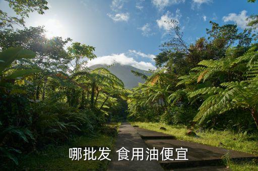 哪批发 食用油便宜
