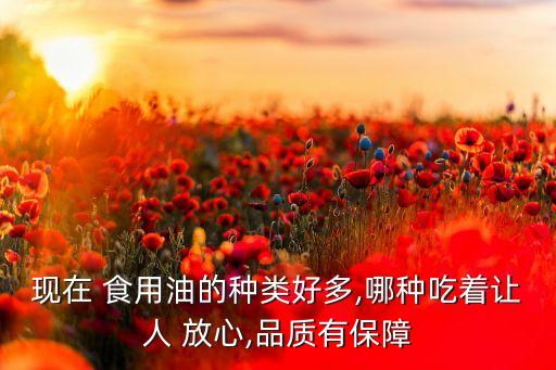 现在 食用油的种类好多,哪种吃着让人 放心,品质有保障