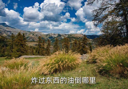 炸过东西的油倒哪里