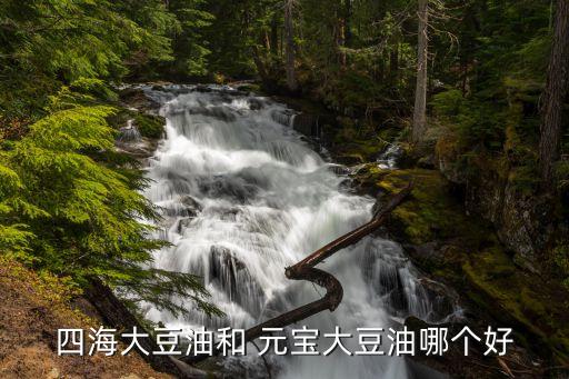 四海大豆油和 元宝大豆油哪个好