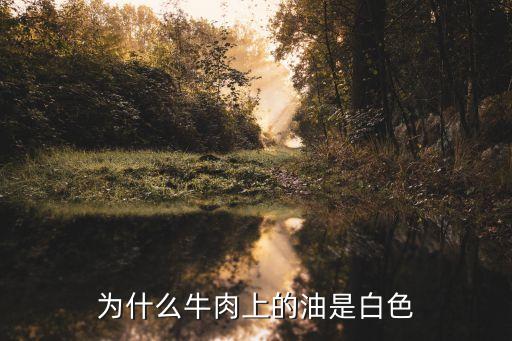 为什么牛肉上的油是白色
