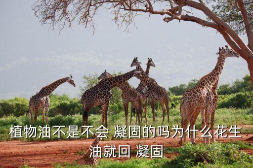 植物油不是不会 凝固的吗为什么花生油就回 凝固