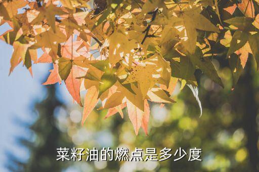菜籽油的燃点是多少度