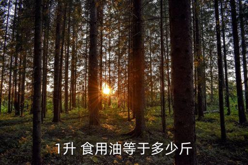 1升 食用油等于多少斤
