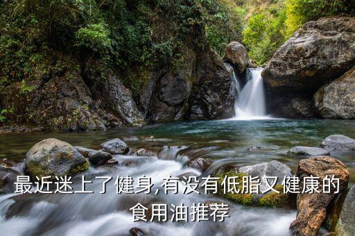 最近迷上了健身,有没有低脂又健康的 食用油推荐