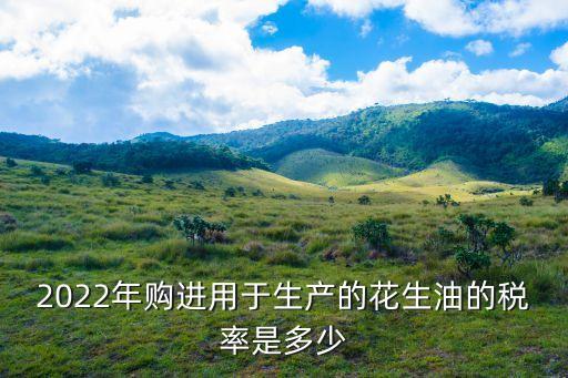 2022年购进用于生产的花生油的税率是多少