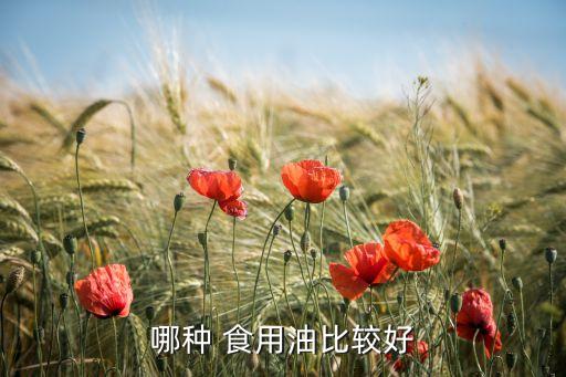 超市什么食用油靠谱,超市食用油的利润一般是多少
