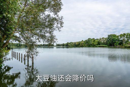 大豆油还会降价吗