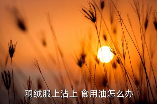 羽绒服上沾上 食用油怎么办