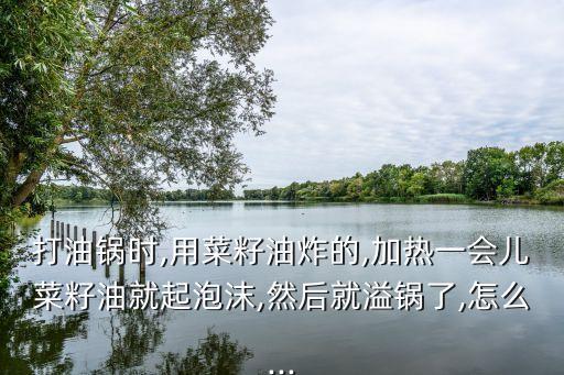 什么东西能让食用油不溢锅,什么食用油适合炸东西